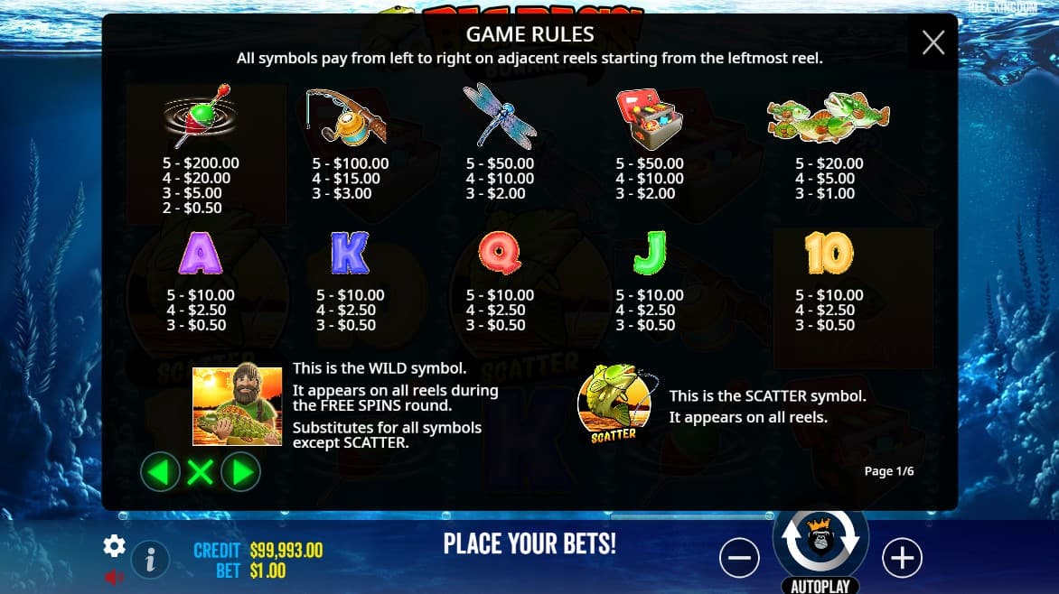 big bass bonanza információk
